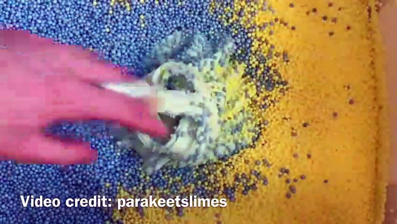 Slime Big Batch Compilation - Satisfying Slime ASMR