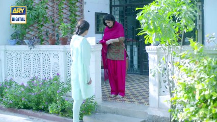 Dil Mom Ka Diya Last Episode 29 - 4th December 2018 - ARY Digital Drama