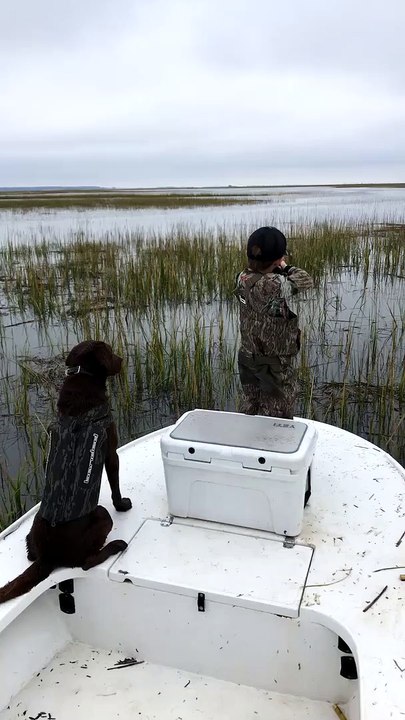 The Perfect Hunting Duo