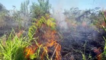 Incêndio atinge grande área de vegetação, 'dando trabalho' aos Bombeiros