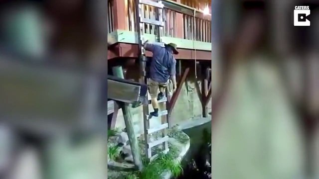 Il tombe dans le bassin des crocodiles en se suspendant à une corde qui lâche !