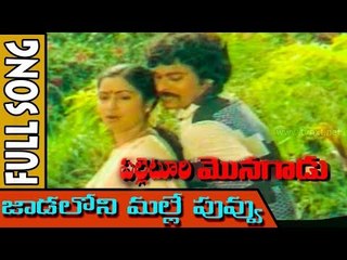 Jadaloni Malle Puvvu || Palletoori Monagadu songs || Chiranjeevi,Radhika