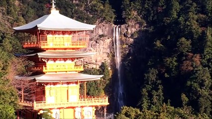 【和歌山観光スポット】大地町イルカ漁、勝浦漁港、世界遺産・那智の滝、ラーメンたんぽぽ