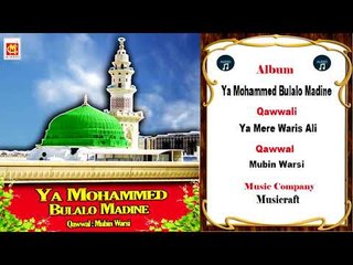 Ya Mere Waris Ali || Qawwal : Mubin Warsi || Audi Qawwali || Musicraft