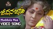 Muddula Maa Babu Full Video Song - Jeevana Jyothi Telugu Movie | | Vanisri || Shoban Babu