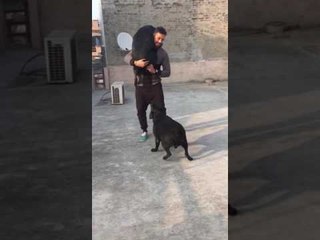 Garry Sandhu Playing With Rambo and Ranjha | funny video