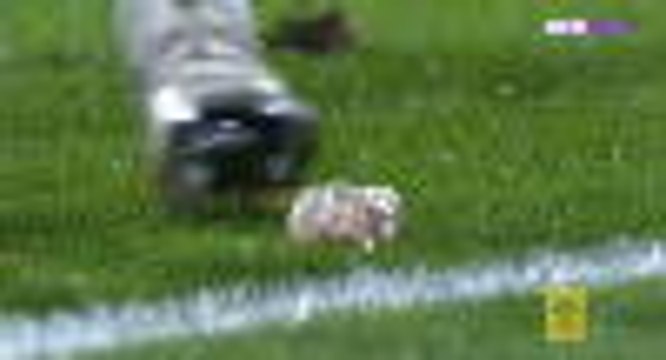 Lille goalkeeper racially abused by Montpellier fans throwing peanuts