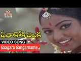 Saagara Sangamame Song - Seethakoka Chilaka Movie | Karthik Muthuraman, Aruna Mucherla || Vega Music
