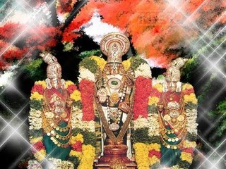 Thillana by Narayanan - Margazhi Moods (Live Concert at Sri Thyaga Brahma Gana Sabha)