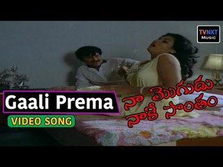 Naa Mogudu Naake Sontham Movie Songs  | Gali  Song |  VEGA Music