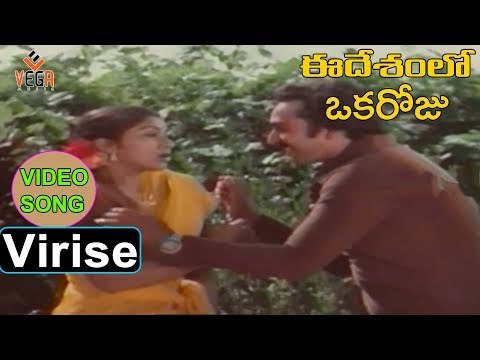 Virise Tenelu Telugu Video Song | Ee Desamlo Oka Roju Movie Songs | Siva Krishna, Kavitha