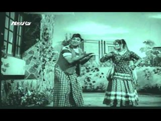 Mera Bandar Chala Hai Sasural-Zindagi Aur Khwab- Video Song