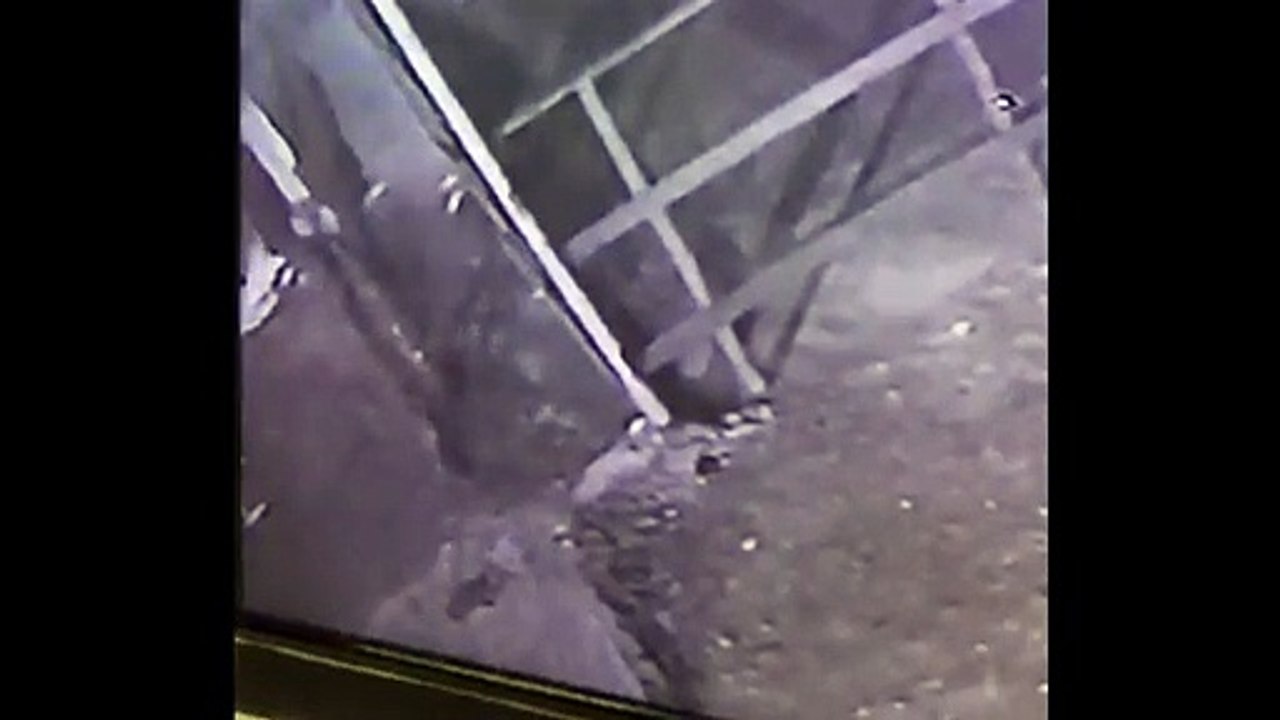 Câmera mostra suspeito de furto escondendo o rosto ao perceber presença de câmera