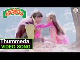 Aahvaanam Movie | Thummeda Valani Song | Srikanth | Ramya Krishna | S.V.Krishna Reddy | VEGA Music