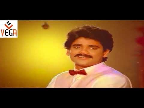 Janaki Ramudu Telugu Movie Songs | Nee Charanam Kamalam Song | Nagarjuna,Vijaya Shanthi | Vega Music