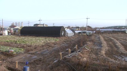 여의도 116배 면적 군사시설 보호구역 해제 / YTN