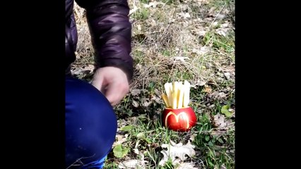 40 Simple Life Hacks for Fun