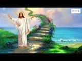 Lord Yesu Prabhu Christian Devotional Songs || Daiva Janulaaraa || Visvasa Payanam