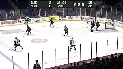 ECHL Wichita Thunder 3 at Tulsa Oilers 2