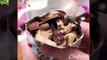 How To Make Chocolate Ice Cream - Easy Cake Recipes (1)