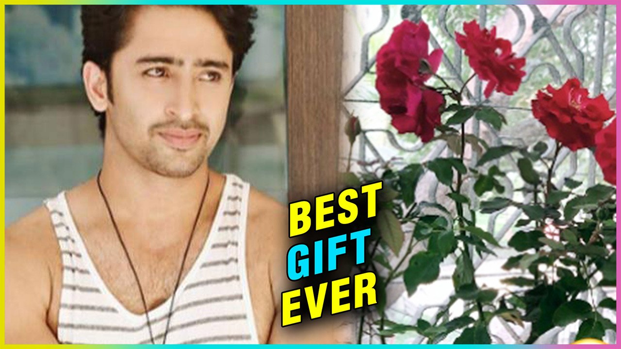 Shaheer Sheikh Gets BEST GIFT EVER From Kuch Rang Pyar Ke Aise Bhi Actress