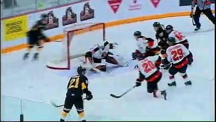 WHL Medicine Hat Tigers at Brandon Wheat Kings
