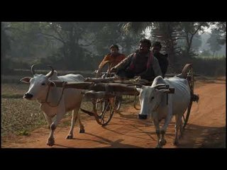 #Cozmik Harmony II Graam chara II Asish Saha II Instrumental