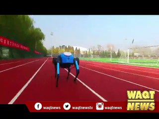 China releases new four-legged robot, capable of running, climbing stairs