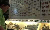 Menelusuri Museum Satwa di Malang