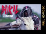 New Punjabi Songs 2014 |  Bukal | AS Parmar | Full HD Latest Punjabi Songs 2014