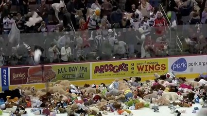 شاهد: دمى الدببة تغزو ملعبا للهوكي على الجليد