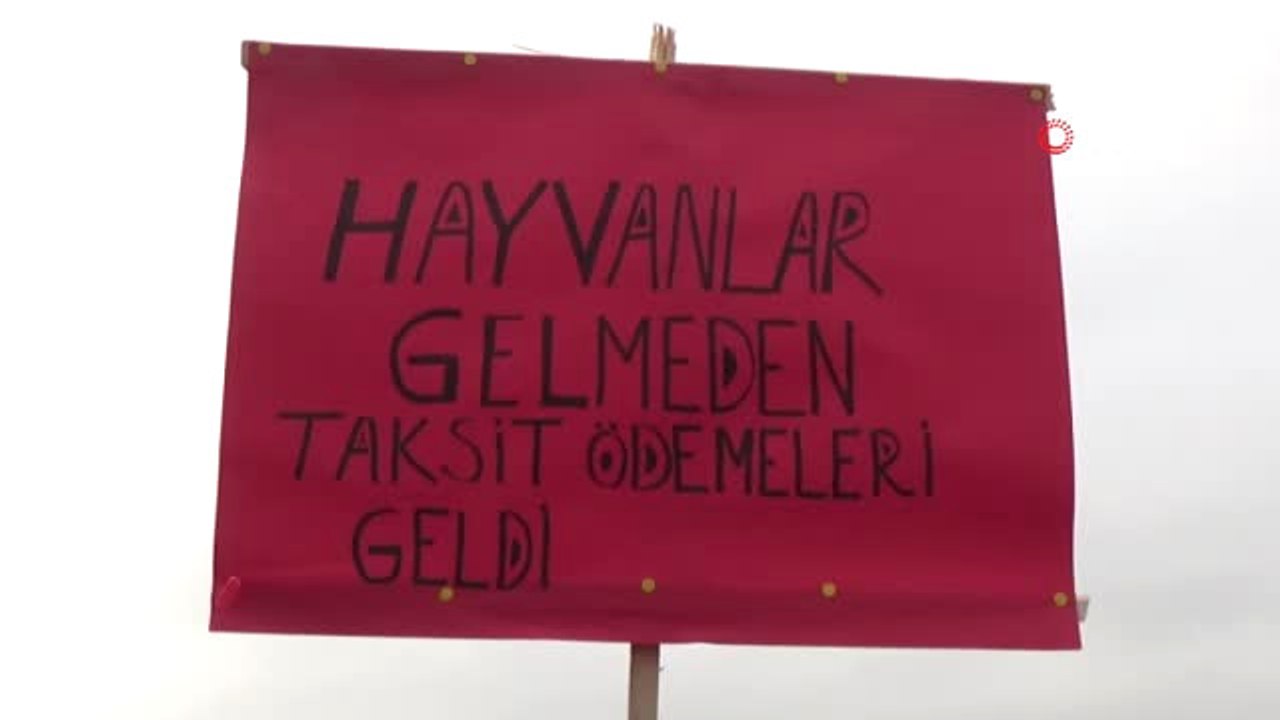 Çiftlik Kurmak İçin Kredi Aldılar, İneklerine K...