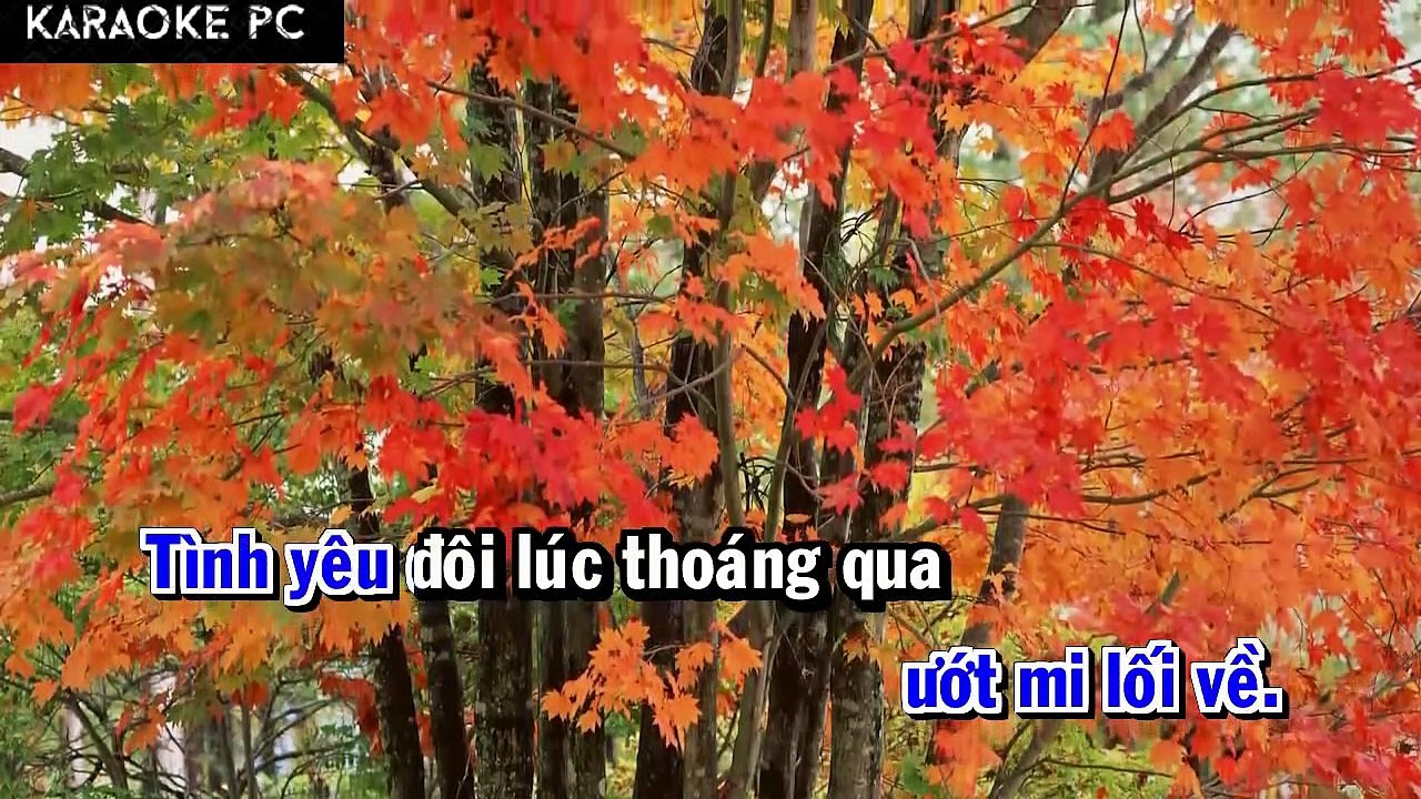 Karaoke Còn Lại Đây Nỗi Đau - Ngô Công Phước