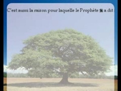 LES MIRACLES DU SAINT CORAN-LES EPREUVES DE LA VIE