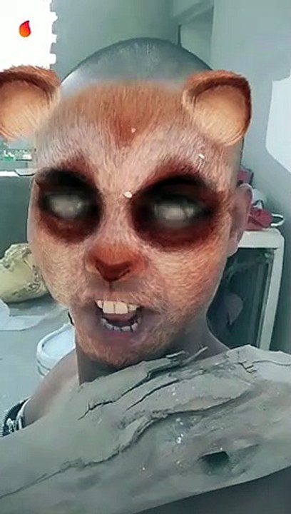 Funny video best