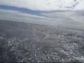 jourdain nelias et la dinde...