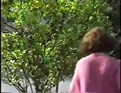 Neighbours Episode 1908