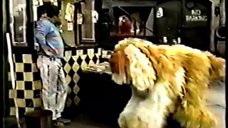 Classic Sesame Street - David Watches Barkley