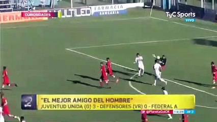 Yılın kurtarışı