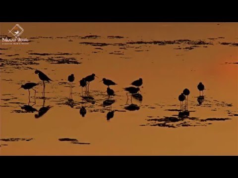 RAAG TODI || Rajesh Sendh || Ninada || Bihaan Music || Dhrupad Vocal