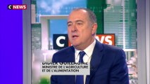 Didier Guillaume : «Je ne crois pas que la FNSEA et les agriculteurs se joignent aux gilets jaunes»