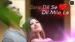 Zara Dil Se Dil Mila Le | Pehla Pyaar | Prateek Saxena