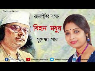 NAZRULGEETI II Madhuro Nupuro Rumujhum Baje II Sudeshna Paul II BIHAN MADHUR|| Bihaan Music