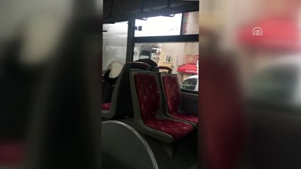 Otobüse binen sokak köpeği şoför koltuğuna oturdu - İSTANBUL
