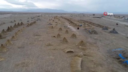 Kuraklık Engeline Takılan Sultan Sazlığı'ndaki Kamış Hasadı Havadan Görüntülendi