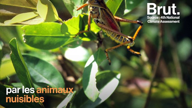 Environnement : à quoi ressembleront les États-Unis en 2050 ?