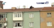 Ankaralı Taraftar, Galatasaray Maçını Kendi Binasının Çatısından Takip Etti