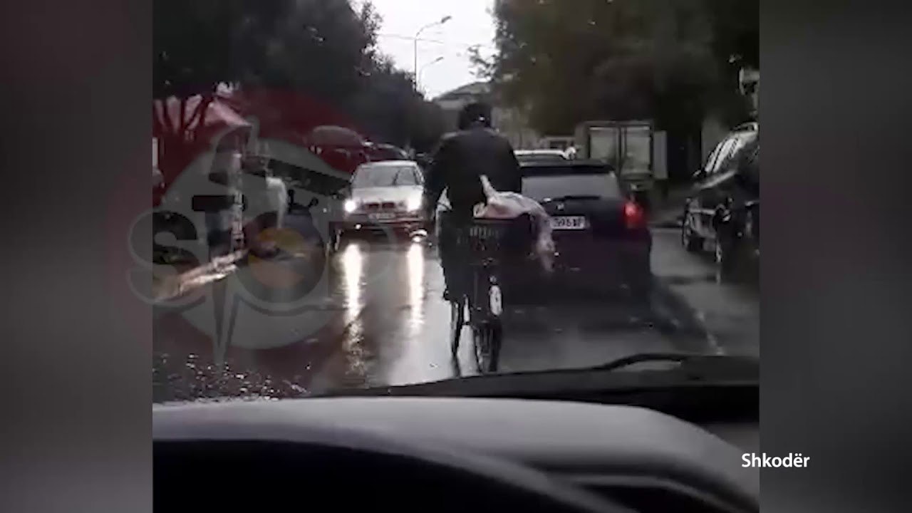 Shkoder/ Zoteri, e pac doren e lehte!