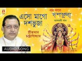Eso Maago Dasabhuja | Bengali Devotional Audio Song | Srikumar Chattopadhyay | Bhavna Records