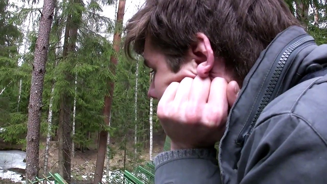 Hilarious  bear playing with a branch. MUST SEE!